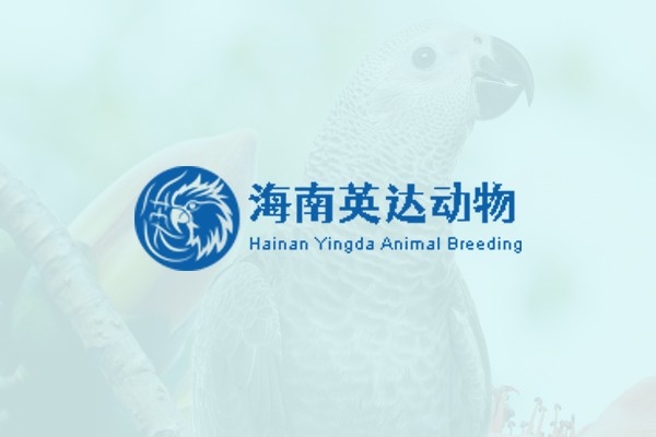 海南英達動物養(yǎng)殖有限公司