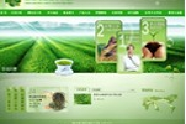 澄邁萬(wàn)昌苦丁茶場(chǎng)